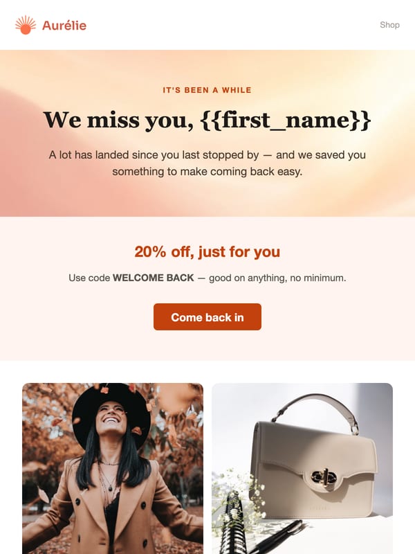Win-Back email template preview