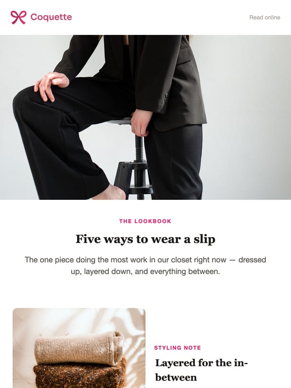 Fashion Lookbook email template preview