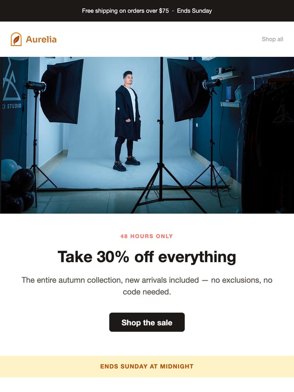 Flash Sale email template preview