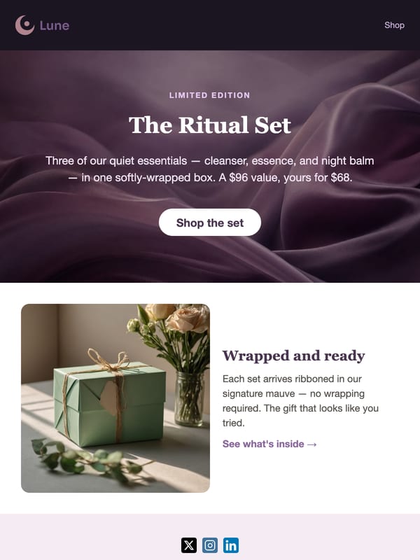 Beauty Bundle email template preview