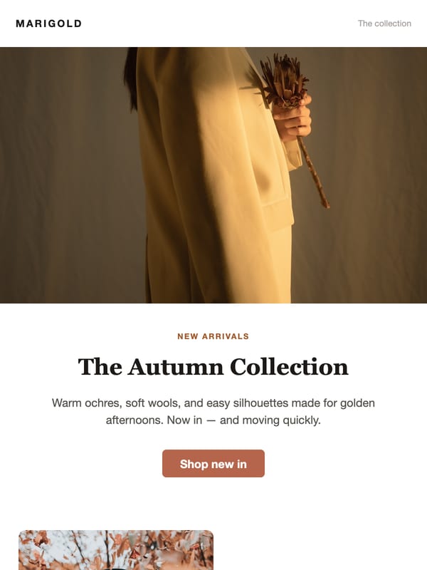 Autumn Collection email template preview